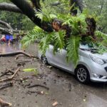 Angin Kencang beserta Hujan, Camat Ben Ingatkan Warga Tidak Parkir Kendaraan Dekat Pohon Besar